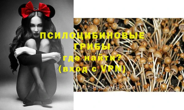 первитин Балахна