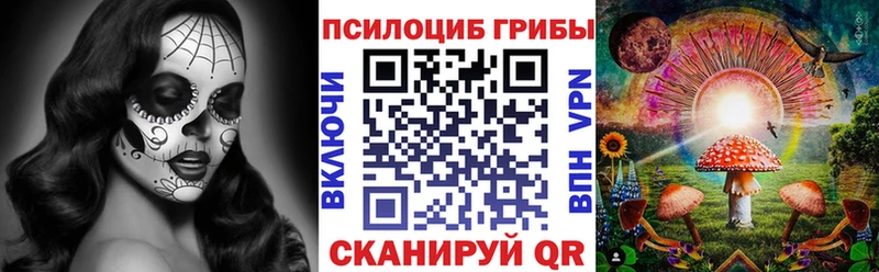 продажа наркотиков  Верхнеуральск  Галлюциногенные грибы Psilocybine cubensis 